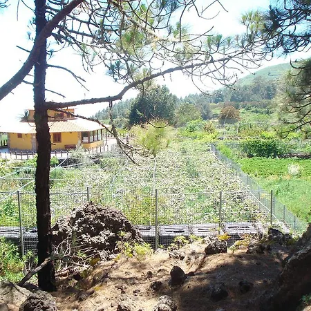 בית נופש Eco House Chinyero גרצ'יקו